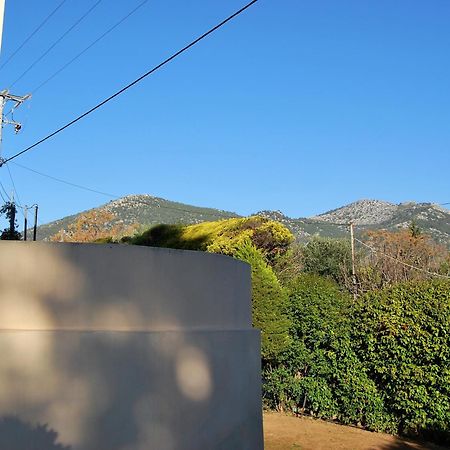 Πολυτελής Εξοχική Κατοικία Villa Nea Makri Exterior photo