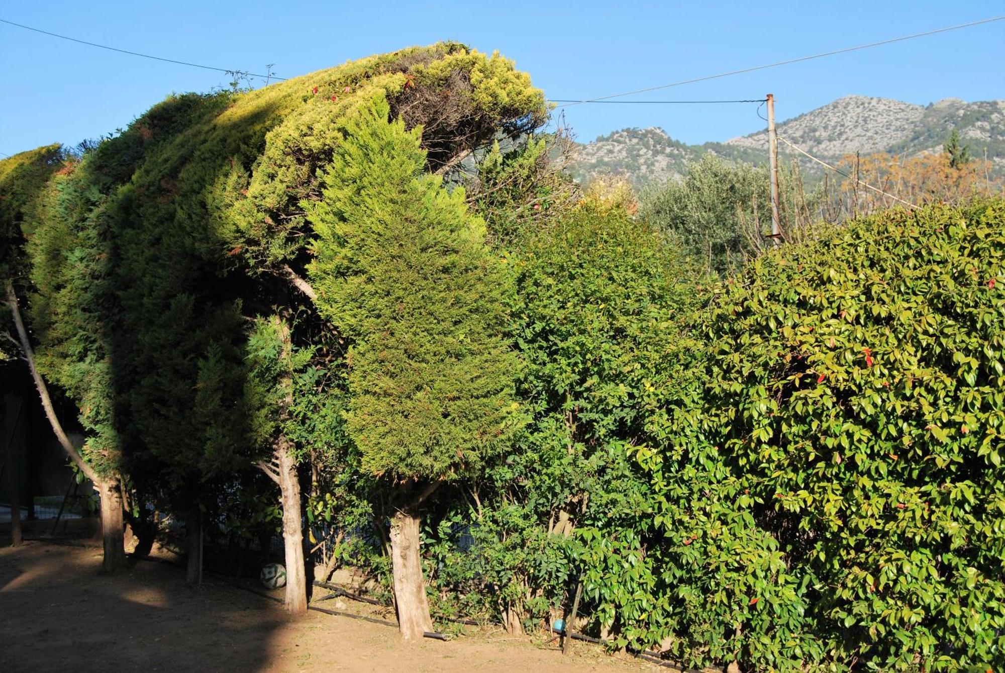 Πολυτελής Εξοχική Κατοικία Villa Nea Makri Exterior photo